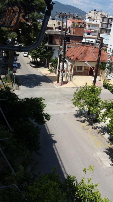 Dimitra Hotel Loutra Edipsou  Bilik gambar